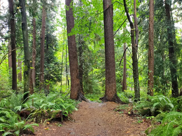 Edith Moulton offleash dog park