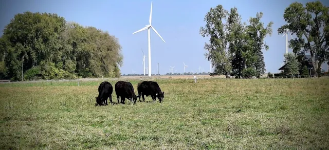 Heritage Homestead Farms