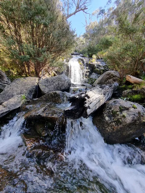 Waterfall Walking Track