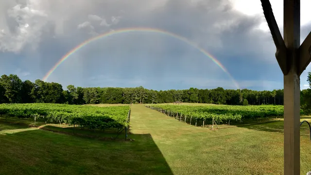 Enoree River Vineyards and Winery