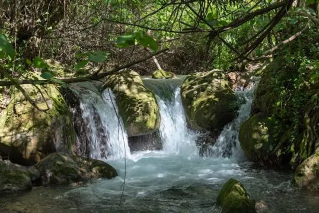 Sendero Río Majaceite