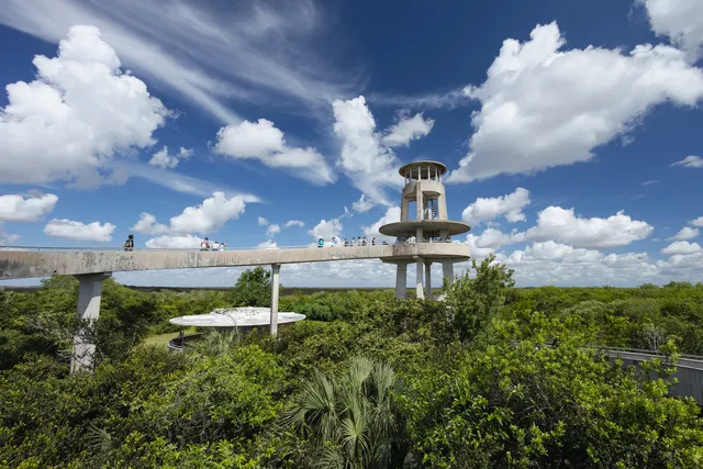 Shark Valley Observation Tower
