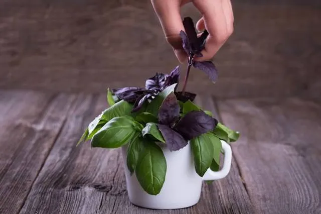 Itaipu Tierra Guaraní Museum