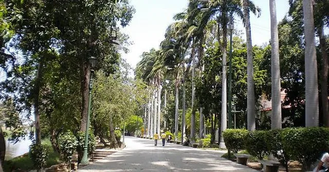 photo-2
