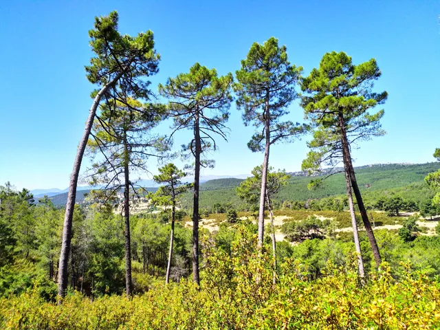 Ruta turística de los Riscos y Atalayas