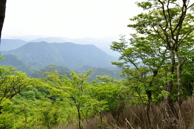 Mt Hiko (South Peak) Summit