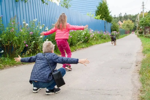 Grizzly Bear Habitat