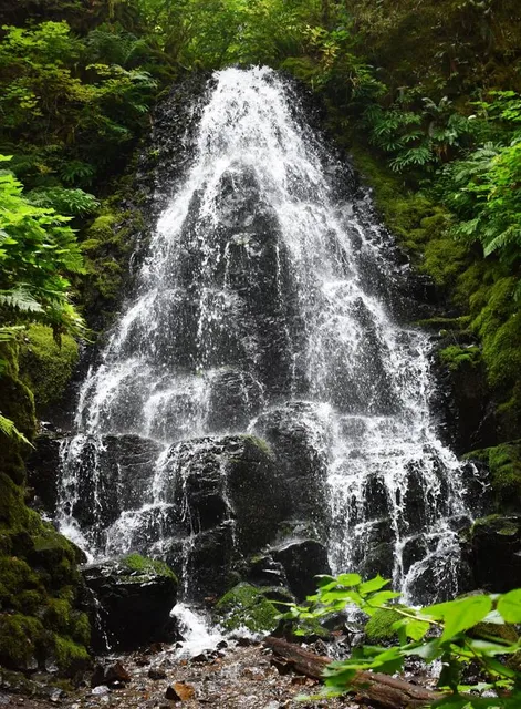 Fairy Creek Falls Trailhead