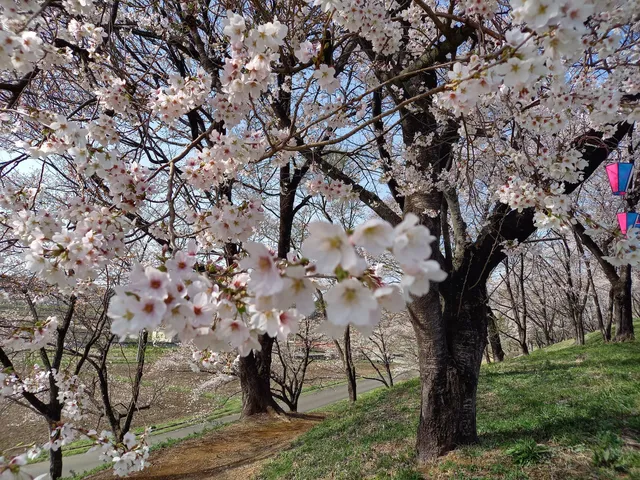 Fujiyama Natural Park