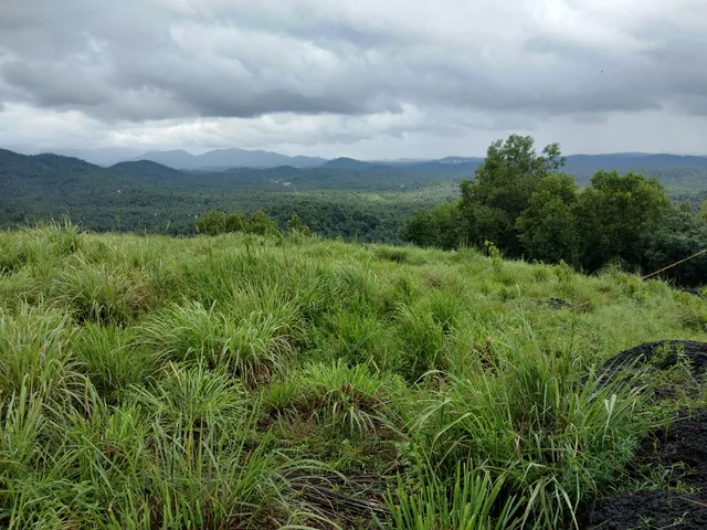 Eliyambra Hills Velimanna