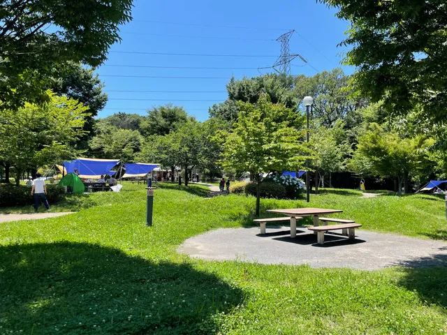 ゲンカイダコウエンバーベキュージョウ