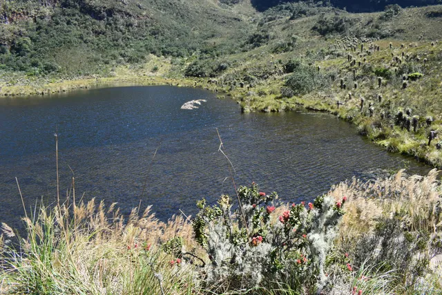 Laguna De Iguaque