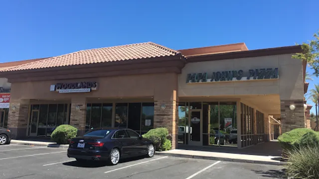 Woodlands Vegetarian South Indian Kitchen