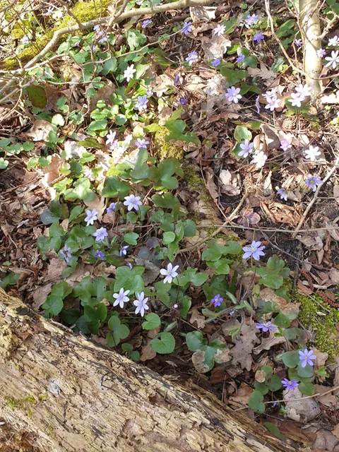 photo-1