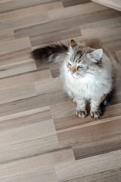 MUEFA, Museo del Ejército y de la Fuerza Aérea