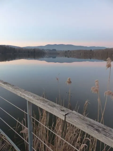 Étang de la Véronne