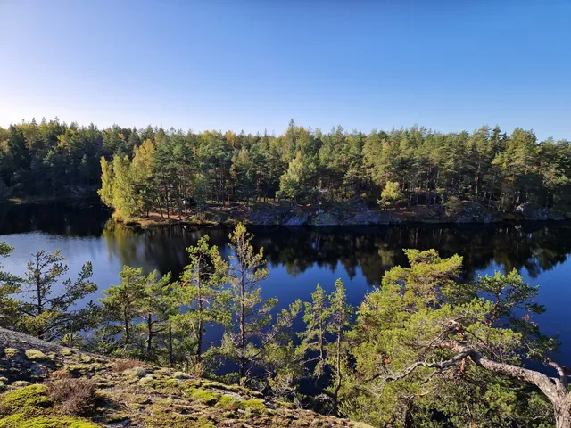 Stora Alsjön Nature preserve