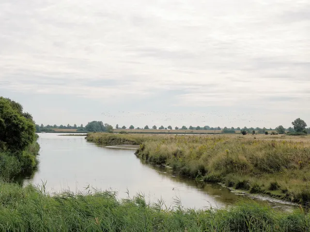 Natuurgebied Het Rammegors