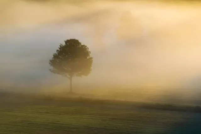 Dexter Drumlin Reservation