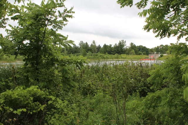 Stouffville Conservation Area and Reservoir