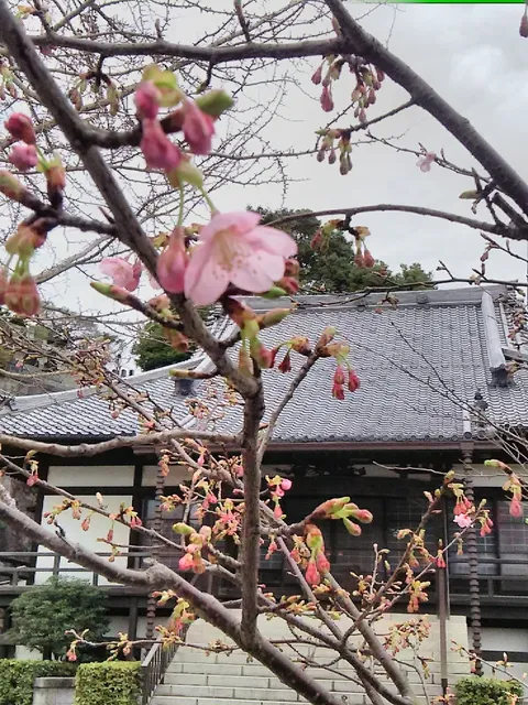 photo-3