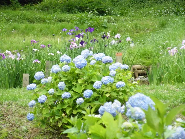 photo-2
