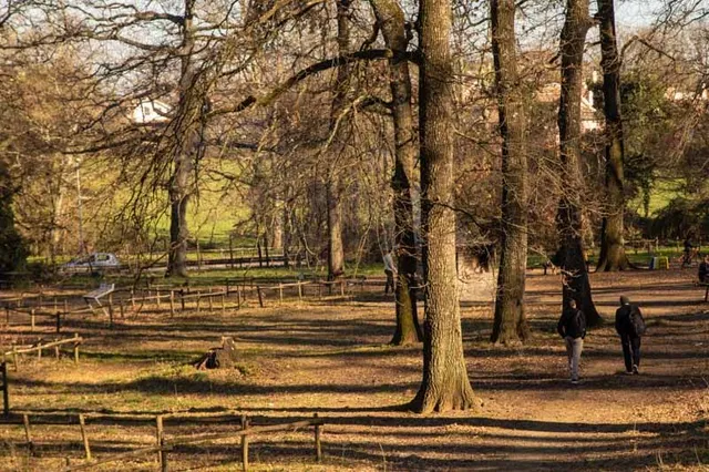 Bosco di Manziana MacchiaGrande