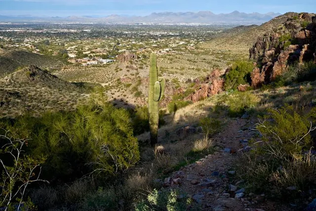 Phoenix Mountains Preserve