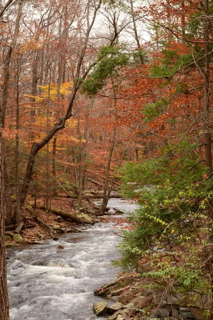 Catoctin Mountain Park