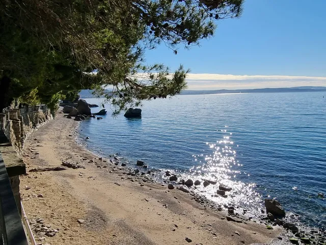 BIOMA - BIOdiversitario MArino