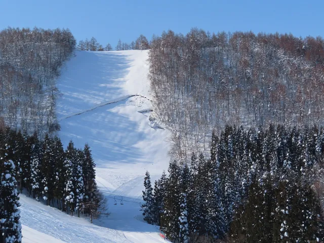 蔵王温泉スキー場 横倉ゲレンデ