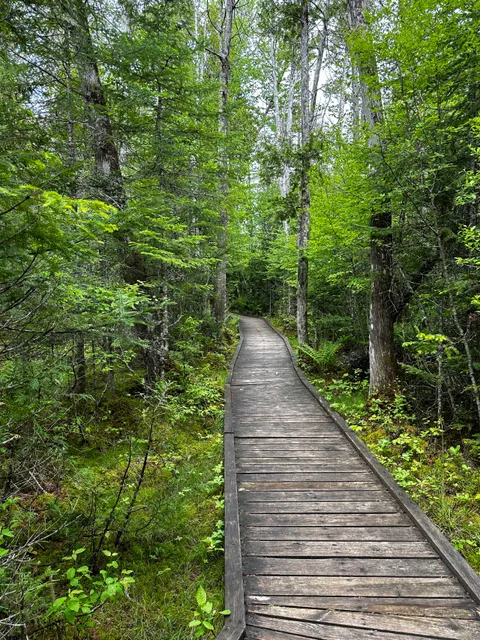 Silver Lake Bog Preserve