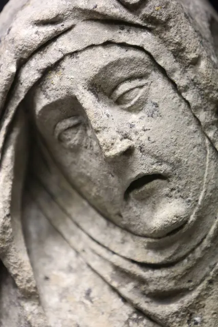 Museum of Art and Archaeology