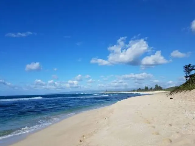 Camp Harold Erdman Beach
