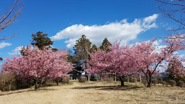 Suehiroyama Park