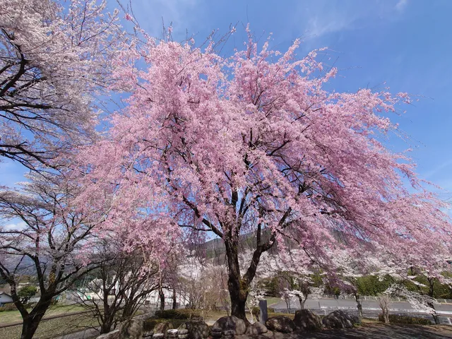 Nursery Rhyme Furusato-kan