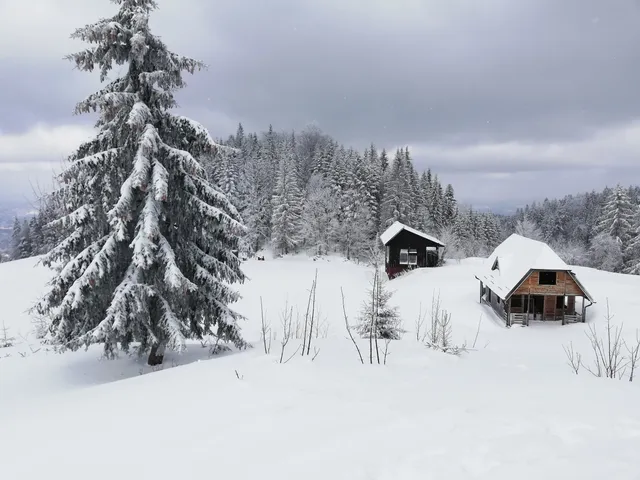 Vlasenica municipality