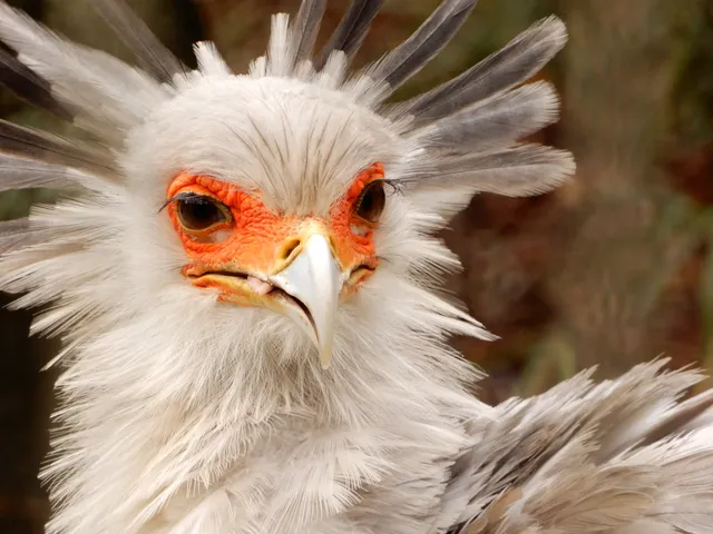 Birds and water system zone, Chiba Zoological Park