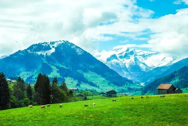 Wild & Adventure Park Ferleiten