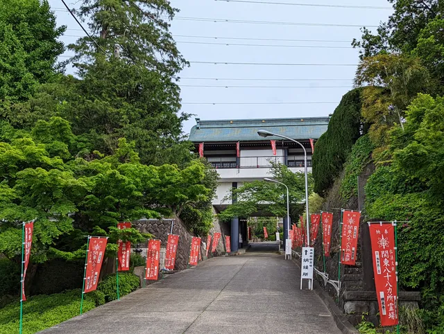 photo-3