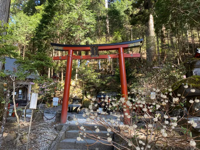 Futara Divine Spring