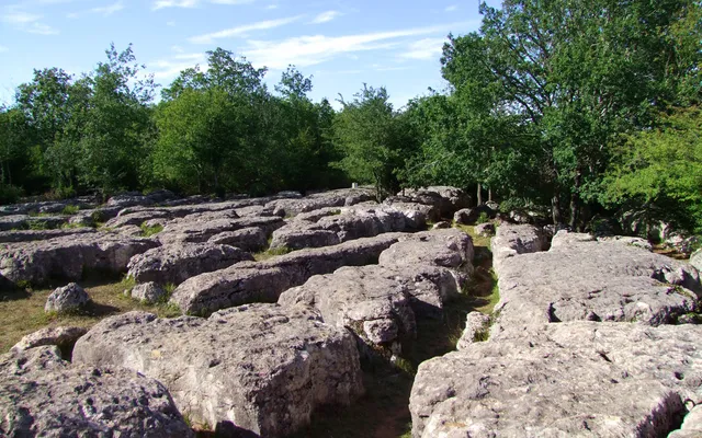Le Sentier Nature Et Le Labyrinthe Vert
