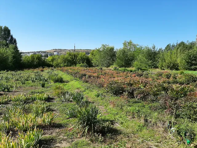 Uchebno-Nauchnyy Tsentr "Botanicheskiy Sad"