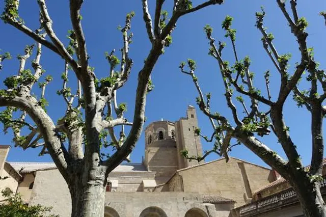 Cathedrale Saint Veran