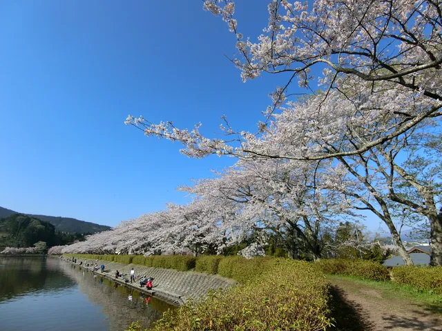 Higashiyamako Fishing Area