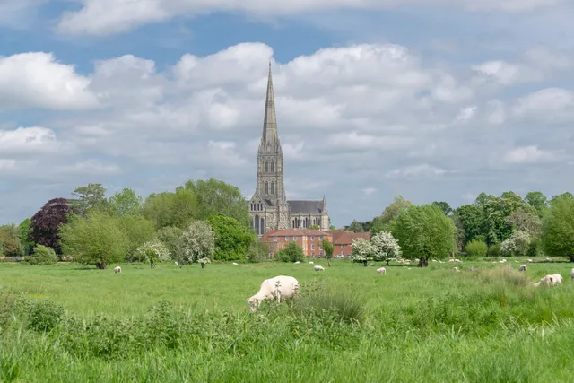 Harnham Water Meadows