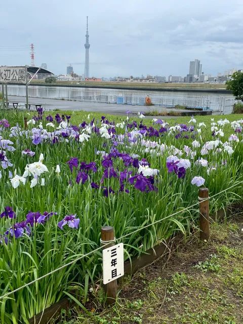 Horikiri Waterside Park