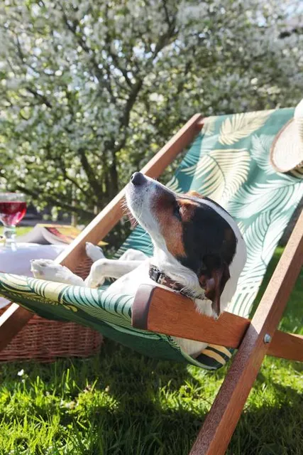 Parque Socioambiental Irmã Dorothy Stang