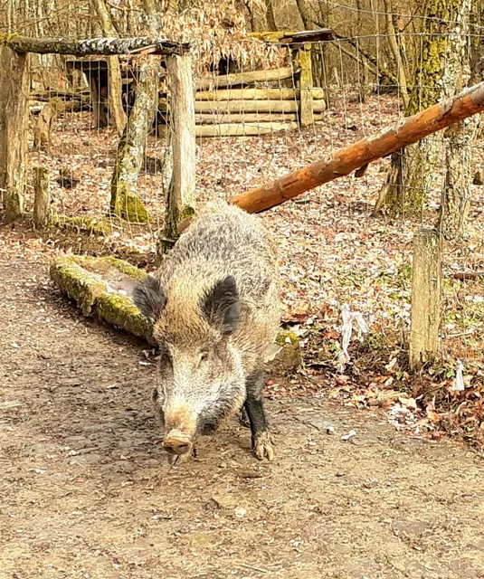Wildpark Wiehl