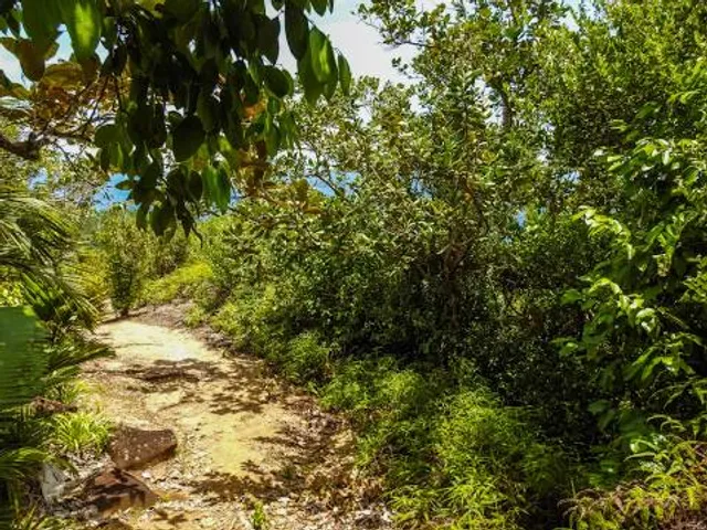 Shi Dao Chi Shan Jing Qu